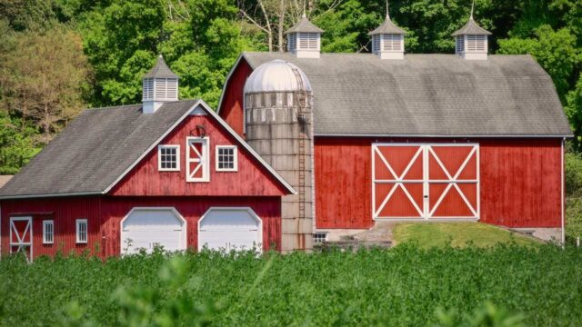farmhouse-img-5