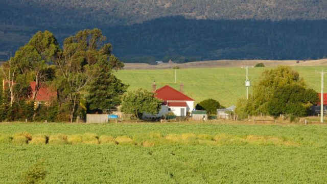 farmhouse-img-7