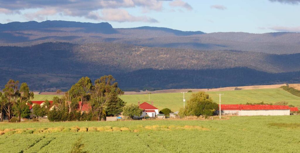 farmhouse-img-8