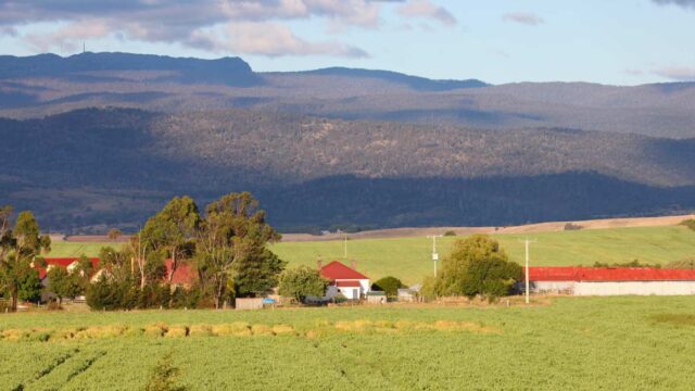 farmhouse-img-8
